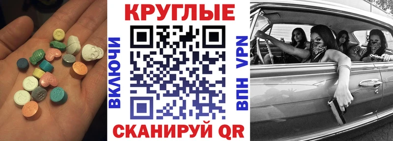Экстази Philipp Plein  Купить  Кедровый 