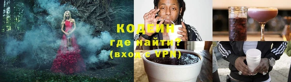 дмт Надым