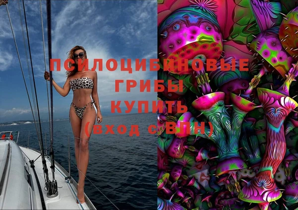 дмт Надым