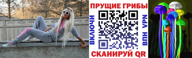 Купить закладки  Кедровый  Псилоцибиновые грибы мицелий 